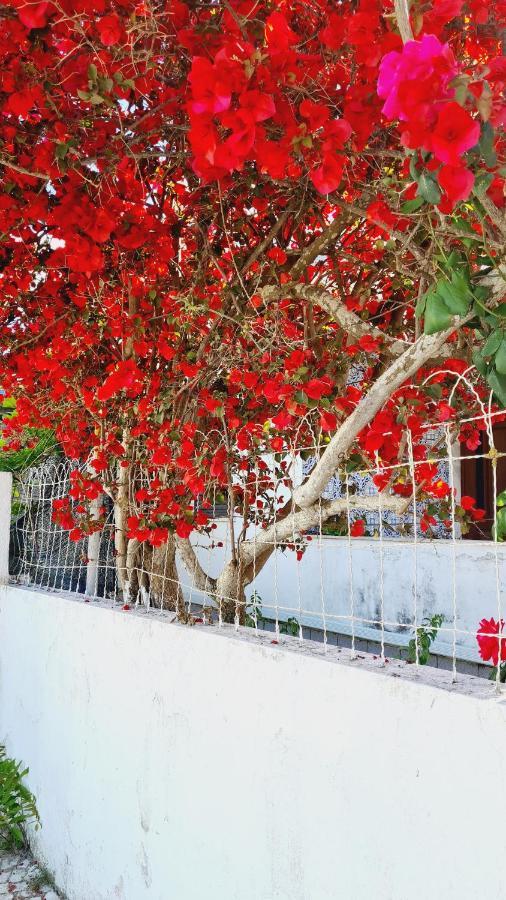 Villa Arrabida Cozy House Palmela Exterior foto